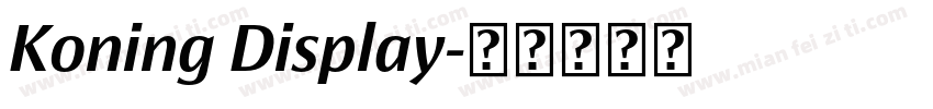 Koning Display字体转换